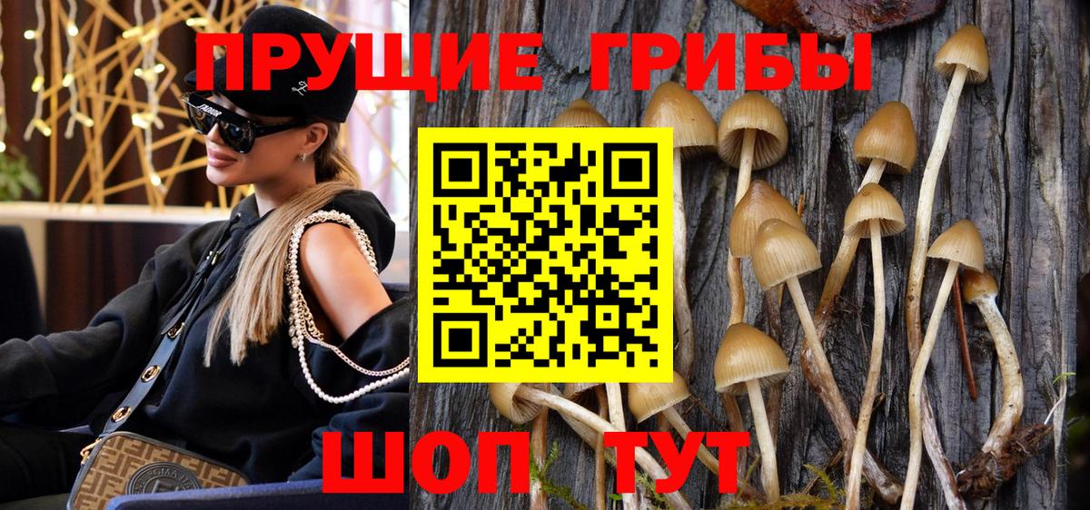Галлюциногенные грибы прущие грибы Верхняя Салда